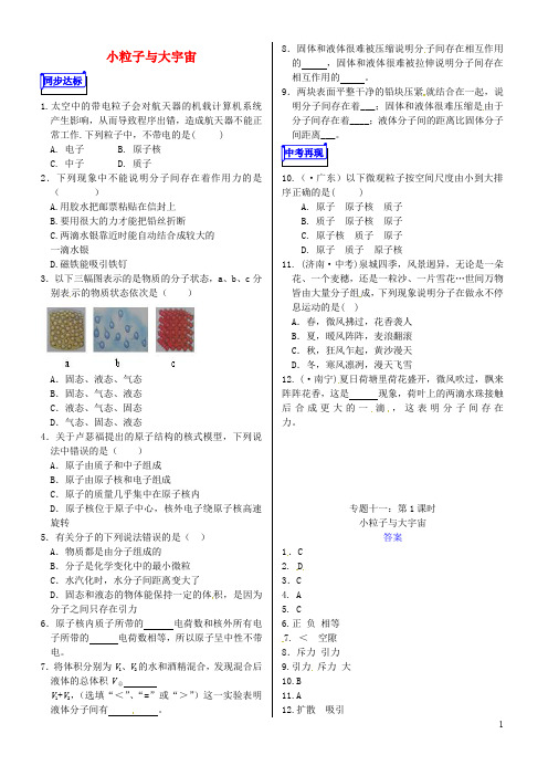 山东省郯城县中考物理 专题十一 热学 第1课时 小粒子与大宇宙复习当堂达标