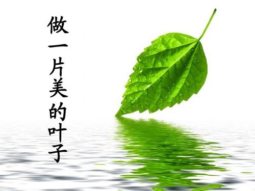 做一片美的叶子