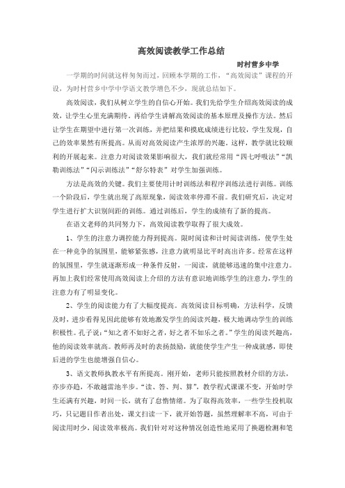 高效阅读教学工作总结