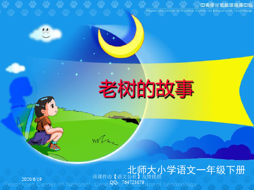 《老树的故事》课件