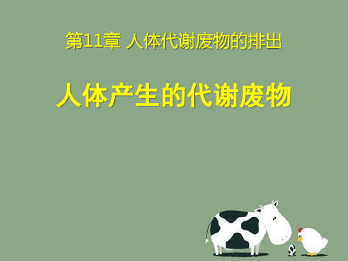 《人体产生的代谢废物》ppt演示课件