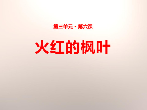 火红的枫叶-公开课课件