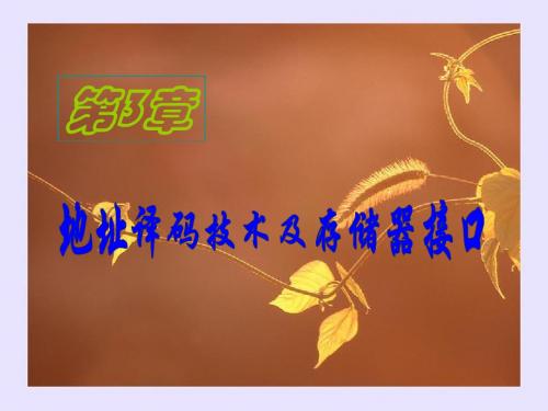 第3章地址译码技术及存储器接口