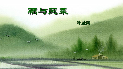 九语下课件2《藕与莼菜》