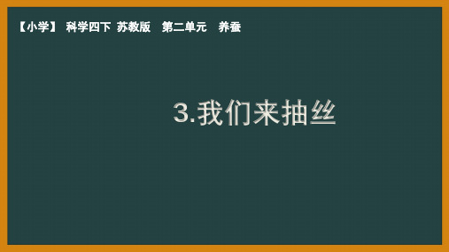 苏教版小学科学四年级下册第二单元第3课优秀PPT课件《我们来抽丝》