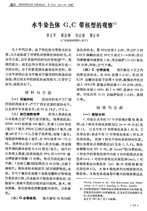 水牛染色体gc带核型的观察