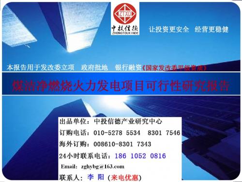 煤洁净燃烧火力发电项目可行性研究报告