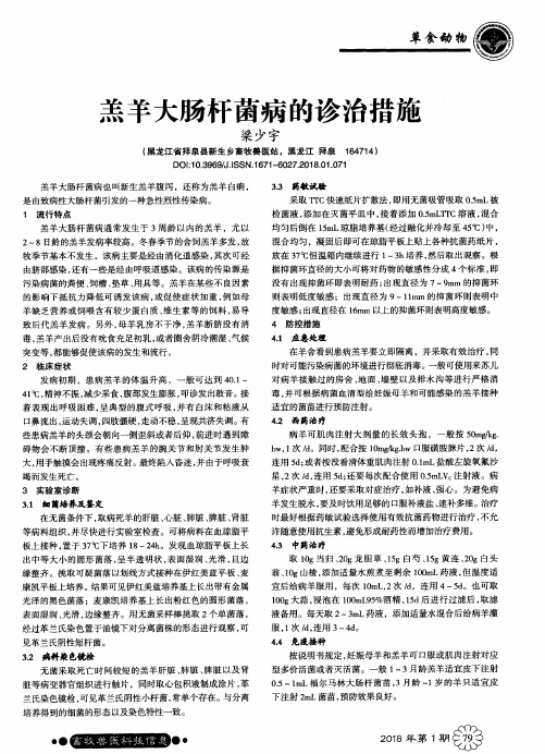 羔羊大肠杆菌病的诊治措施