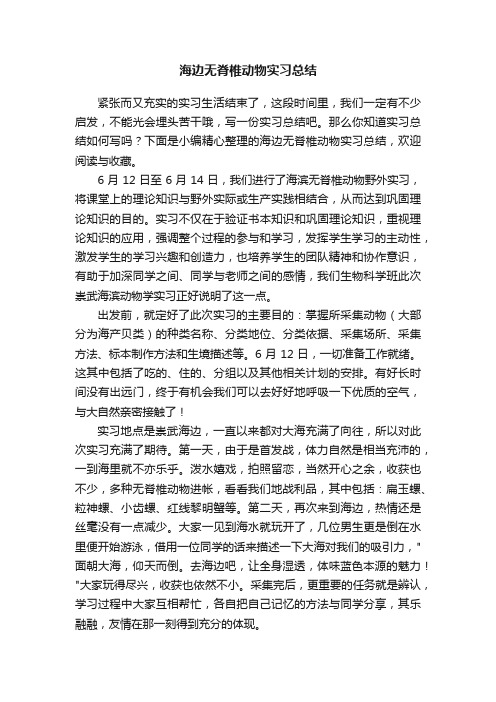 海边无脊椎动物实习总结