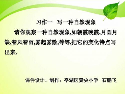 新苏教版五年级语文下册苏版五年级下册习作一