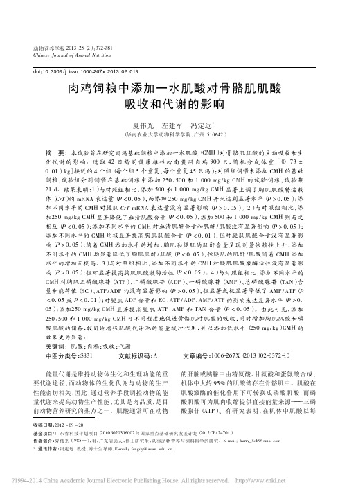 肉鸡饲粮中添加一水肌酸对骨骼肌肌酸吸收和代谢的影响_夏伟光