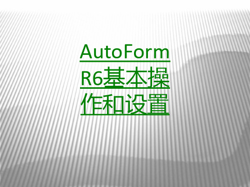 AutoFormR基本操作和设置课件