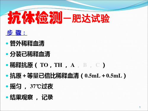 肥达检测步骤