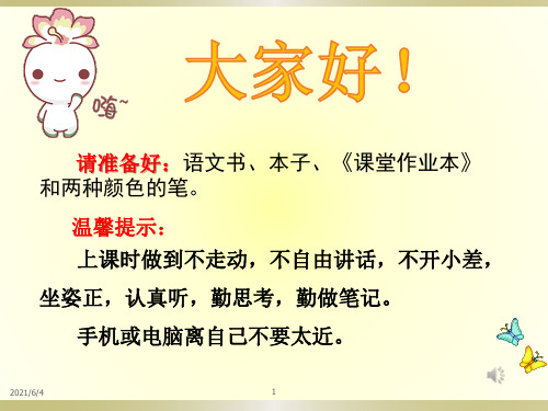 10.青山处处埋忠骨(第一课时)PPT课件