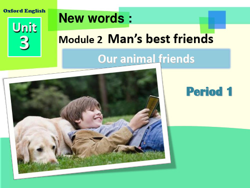 Unit 3our animal friends 单词