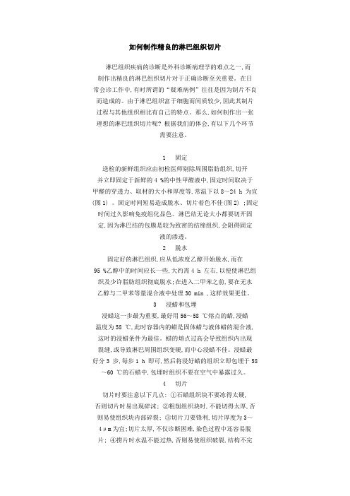 如何制作精良的淋巴组织切片