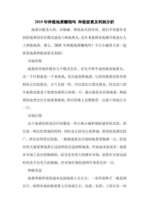 2019年种植地黄赚钱吗 种植前景及利润分析.doc