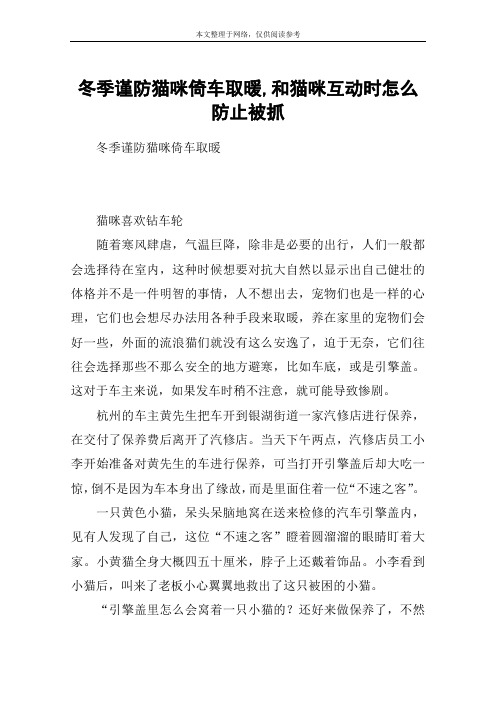 冬季谨防猫咪倚车取暖,和猫咪互动时怎么防止被抓