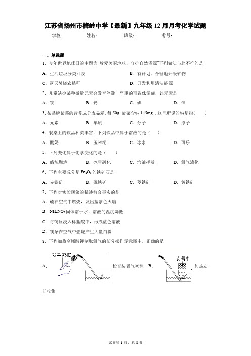江苏省扬州市梅岭中学2020-2021学年九年级12月月考化学试题 答案和解析
