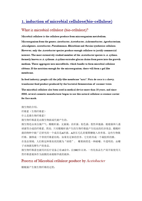 最新的生物纤维面膜中英文资料000