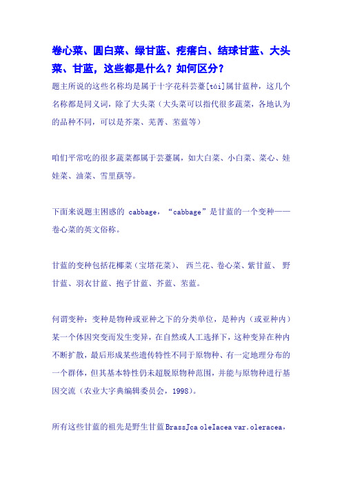 卷心菜、圆白菜、绿甘蓝、疙瘩白、结球甘蓝、大头菜、甘蓝,这些都是什么？如何区分？