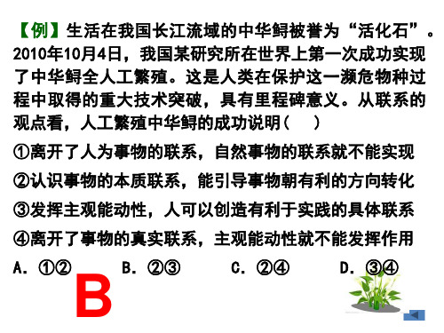 联系观大题专项练习