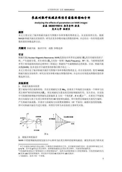 参数对脉冲核磁共振信号图像的影响分析