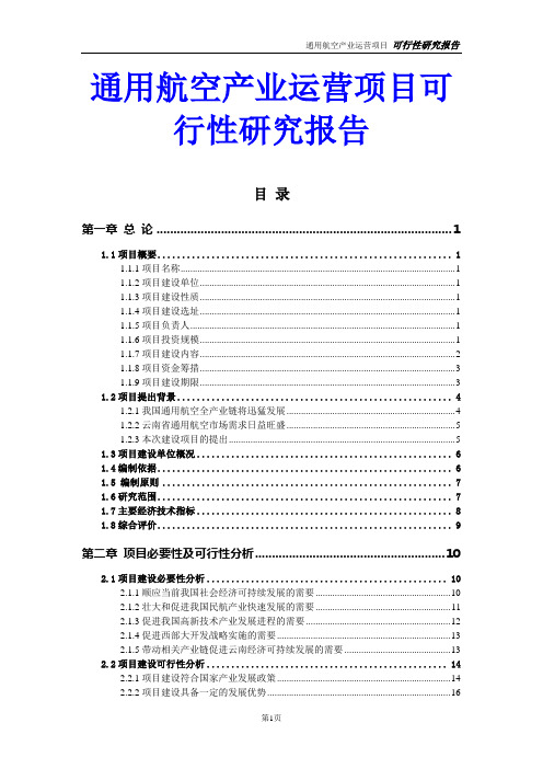 通用航空产业运营项目可行性研究报告