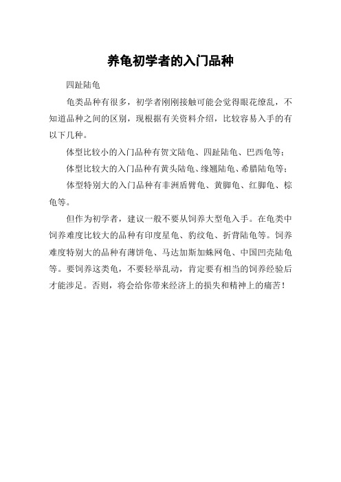 养龟初学者的入门品种