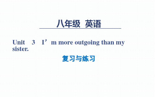 人教版八年级英语上册Unit 3复习课(共43张PPT)