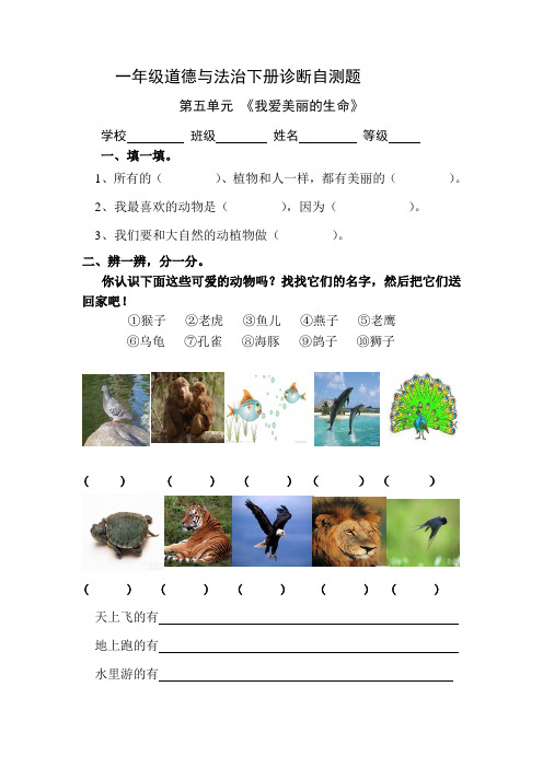 教科版一年级道德与法治下册第五单元诊断自测题及答案