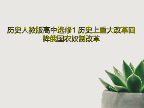 历史人教版高中选修1 历史上重大改革回眸俄国农奴制改革30页PPT