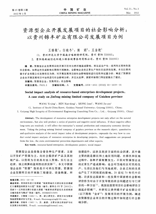 资源型企业开展发展项目的社会影响分析：以贵州锦丰矿业有限公司发展项目为例
