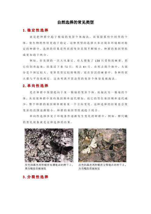 自然选择的常见类型