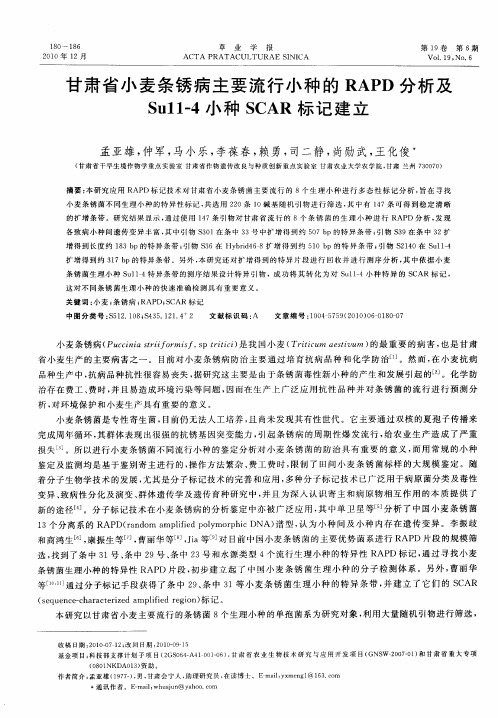 甘肃省小麦条锈病主要流行小种的RAPD分析及Su11-4小种SCAR标记建立