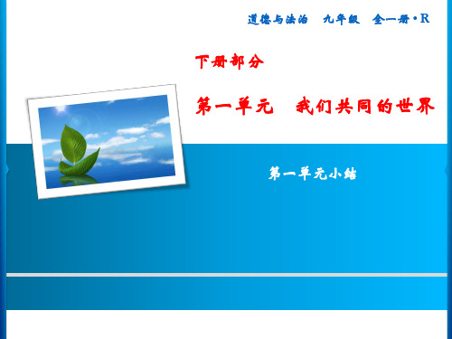 人教版 道德与法治 九年级下册 第1单元 我们共同的世界 小结