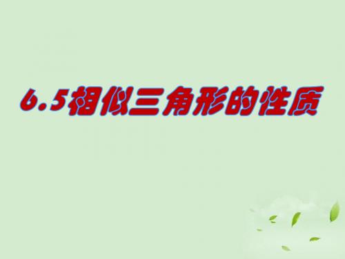 6.5相似三角形的性质