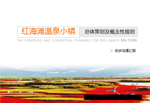 温泉小镇总体策划与概念性规划