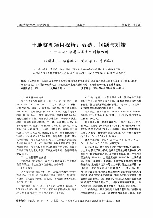 土地整理项目探析：效益、问题与对策——以山东省苍山县大仲村镇为例