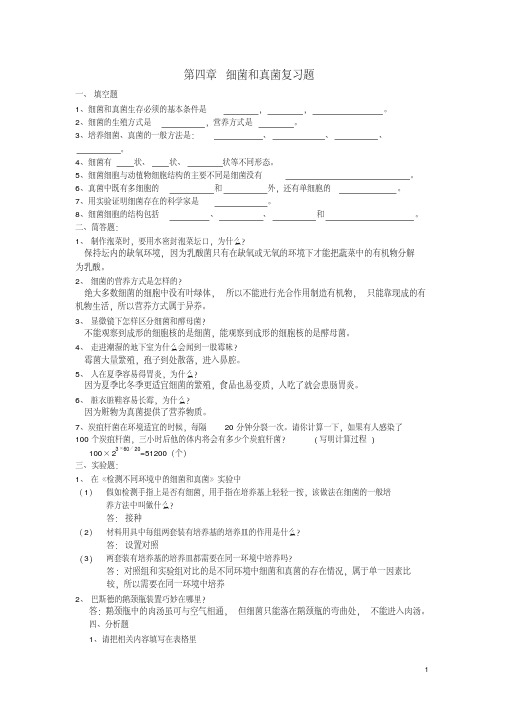 八年级生物上册第四章第一节细菌和真菌复习题