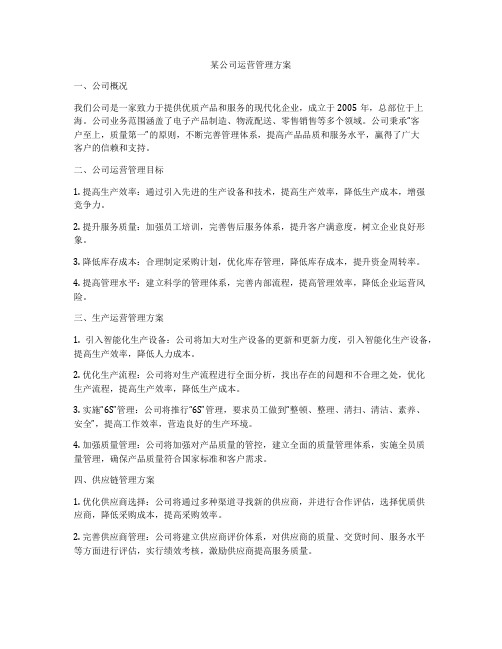 某公司运营管理方案