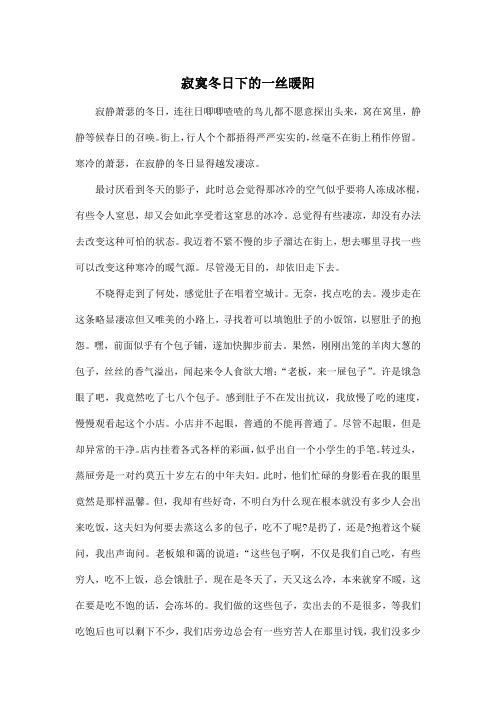 寂寞冬日下的一丝暖阳_初中初三作文1200字