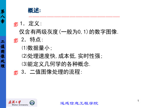 二值图像