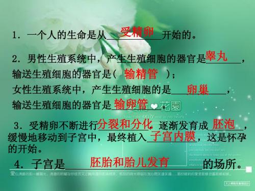 苏教版七年级下册第八章第二节人的生长发育和青春期课件2