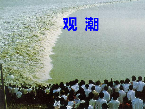 观潮公开课ppt语文课件