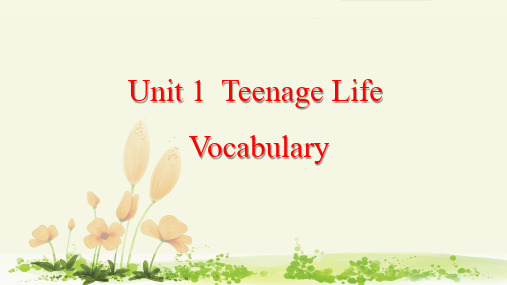 2020年新人教版高中英语必修一《Unit 1 Teenage Life 》单元课件全套