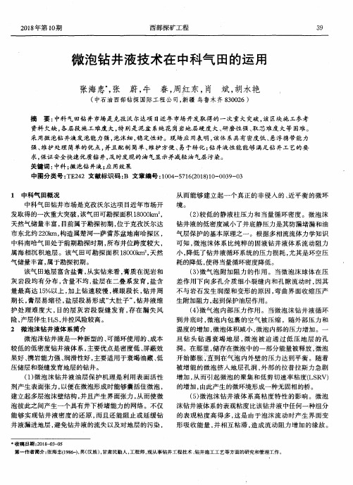 微泡钻井液技术在中科气田的运用