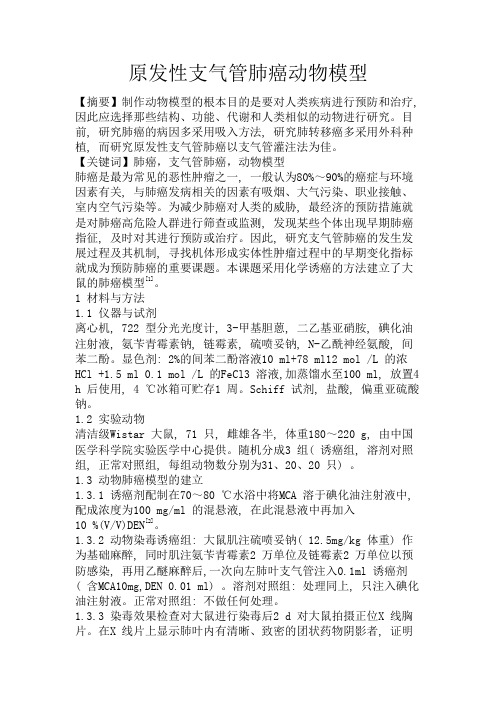 肺癌动物模型