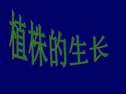 四年级下册科学课件12植物的生长 冀教版 (共18页)PPT