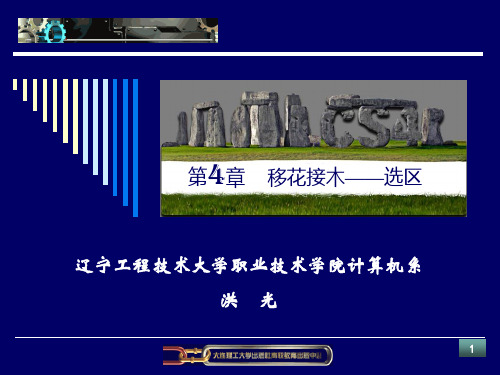 Photoshop CS4第4章选区.ppt